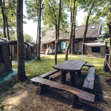 Kawalerski, Impreza, Wesele Apartment Miechowice Wielkie